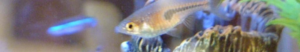 ワインに目が離せない！！